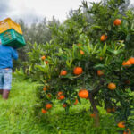Worker_Agric Worker_Agric