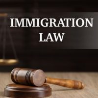 ImmigrationLaw2