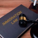 Immigration Lawyer